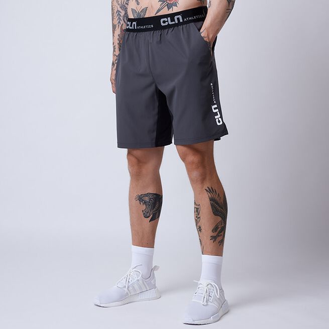 Dino Stretch Shorts Grå