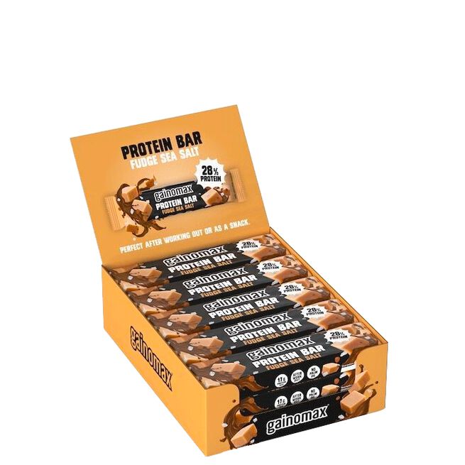 15 x Gainomax Protein Bar 60 g Fudge Seasalt