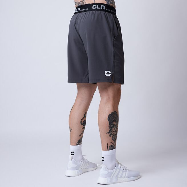 Dino Stretch Shorts Grå
