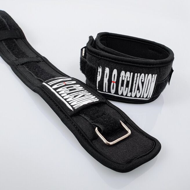 Procclusion 1.0, sort