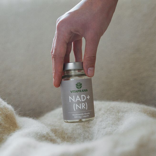 NAD+ 300 mg Nikotinamid Ribosid 30 kapslar