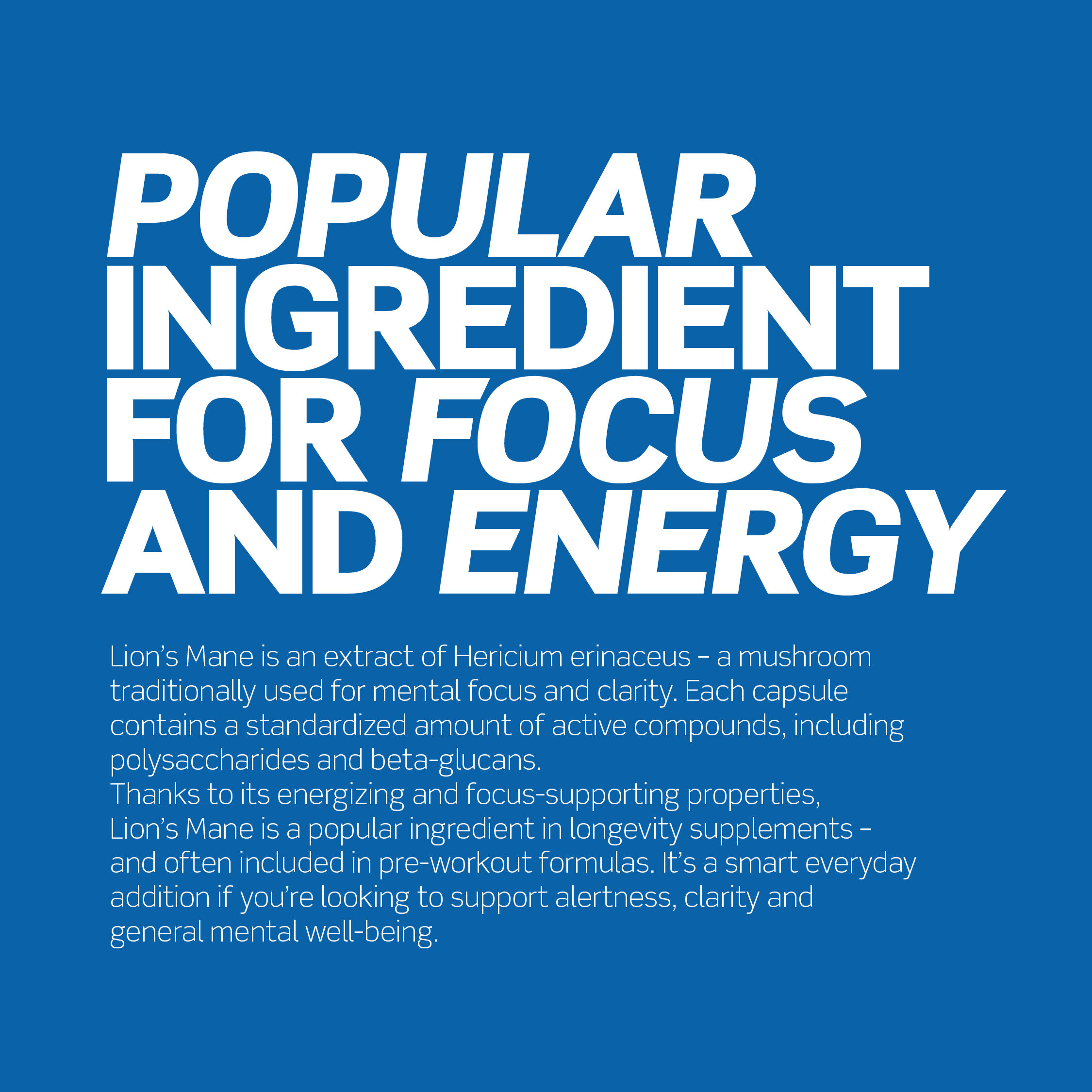 Lion's Mane 120 kapsler