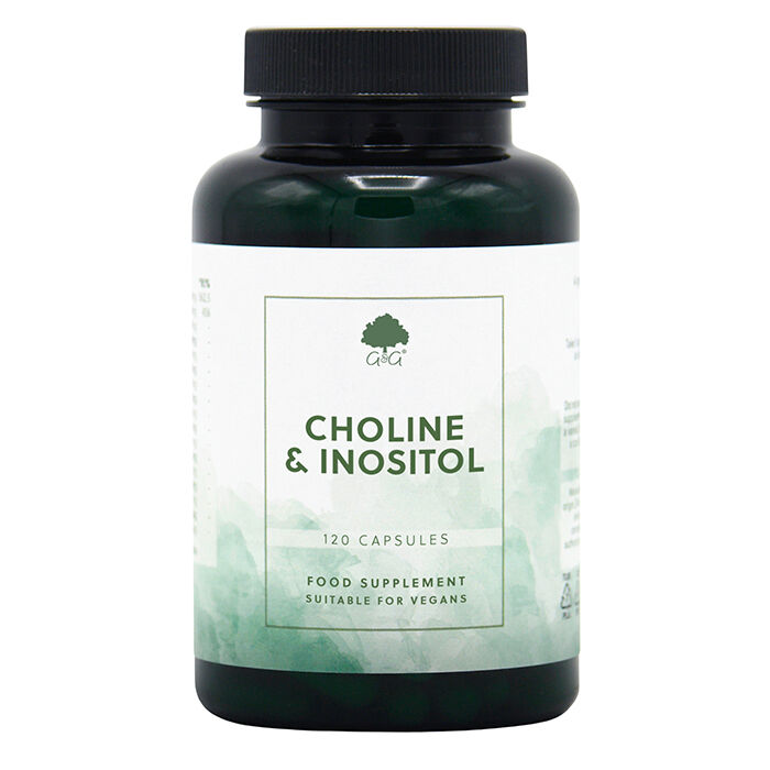 Choline 250 mg & Inositol 250 mg 120 kapsler