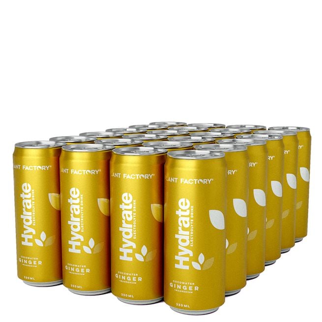 24 x Hydrat kulsyreholdig kokosvand kasse 330 ml Ginger