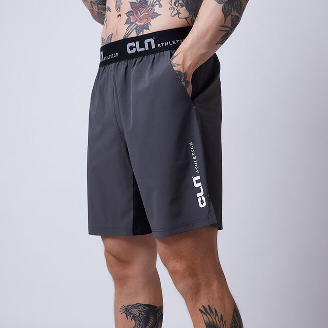 Dino Stretch Shorts Grå