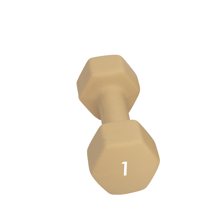 Abilica DumbBell 1-10 kg
