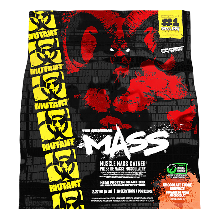 Mass Gainer 2,2 kg chocolate_fudge_brownie