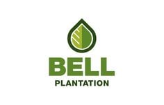 Bell Plantation